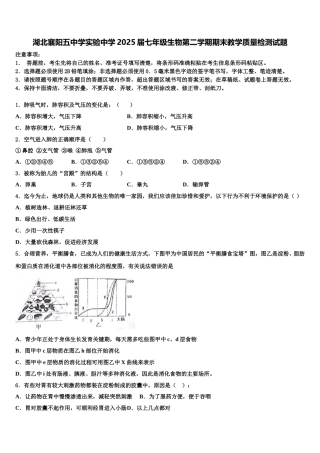 湖北襄阳五中学实验中学2025届七年级生物第二学期期末教学质量检测试题含解析