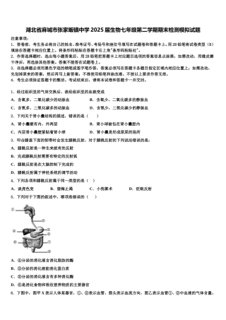 湖北省麻城市张家畈镇中学2025届生物七年级第二学期期末检测模拟试题含解析