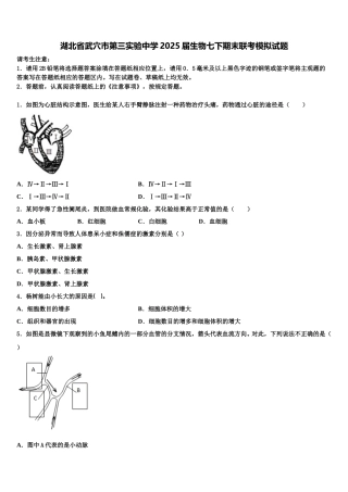 湖北省武穴市第三实验中学2025届生物七下期末联考模拟试题含解析