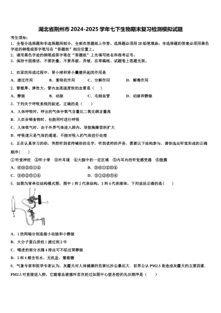 湖北省荆州市2024-2025学年七下生物期末复习检测模拟试题含解析