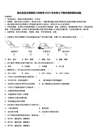 湖北省武汉黄陂区六校联考2025年生物七下期末调研模拟试题含解析