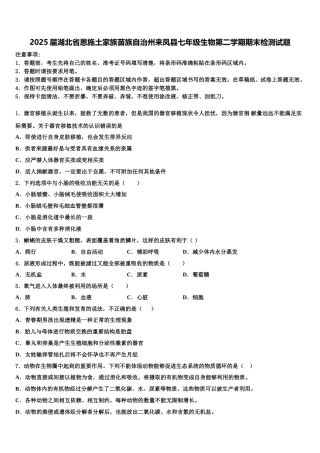 2025届湖北省恩施土家族苗族自治州来凤县七年级生物第二学期期末检测试题含解析