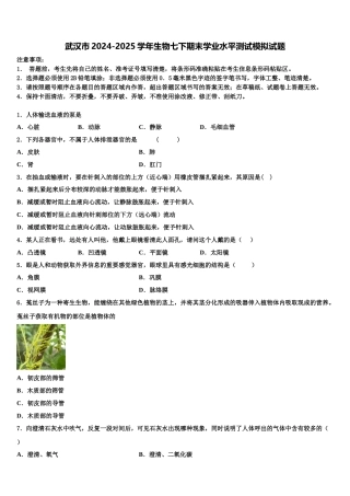 武汉市2024-2025学年生物七下期末学业水平测试模拟试题含解析