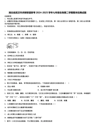 湖北省武汉市求新联盟联考2024-2025学年七年级生物第二学期期末经典试题含解析