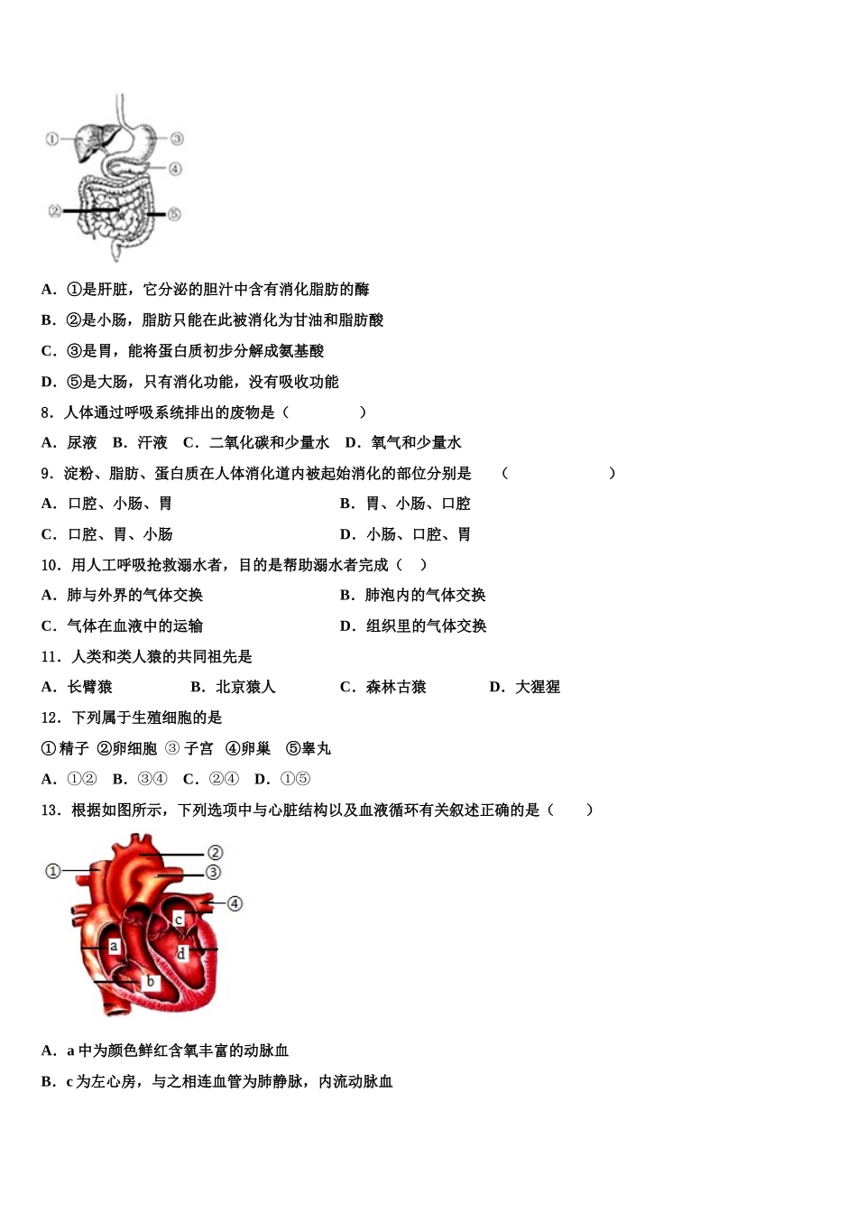 湖北省恩施市2024-2025学年七下生物期末复习检测模拟试题含解析_第2页
