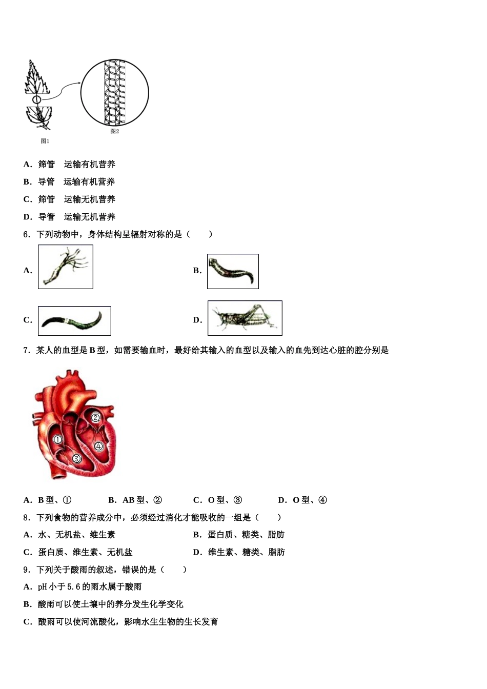 2025年湖北省黄冈麻城市生物七年级第二学期期末复习检测模拟试题含解析_第2页