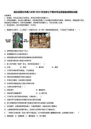 湖北省黄石市第八中学2025年生物七下期末学业质量监测模拟试题含解析