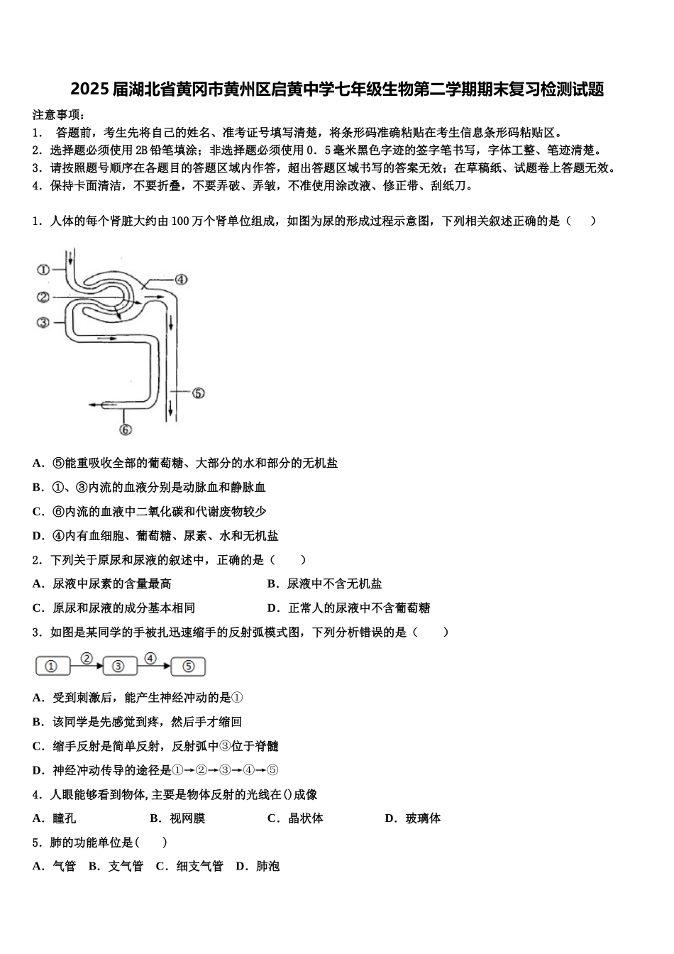 2025届湖北省黄冈市黄州区启黄中学七年级生物第二学期期末复习检测试题含解析_第1页