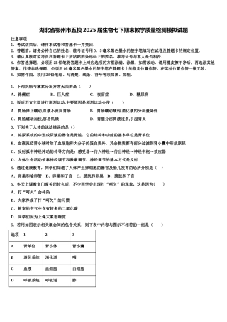 湖北省鄂州市五校2025届生物七下期末教学质量检测模拟试题含解析