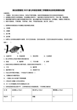 湖北省曾都区2025届七年级生物第二学期期末达标检测模拟试题含解析