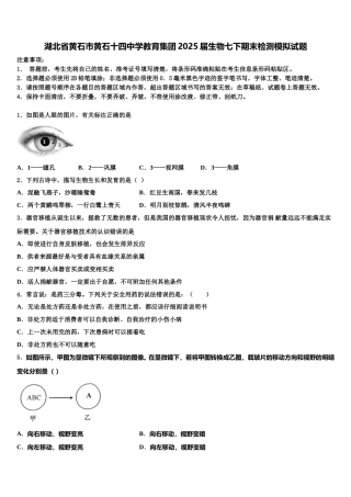 湖北省黄石市黄石十四中学教育集团2025届生物七下期末检测模拟试题含解析