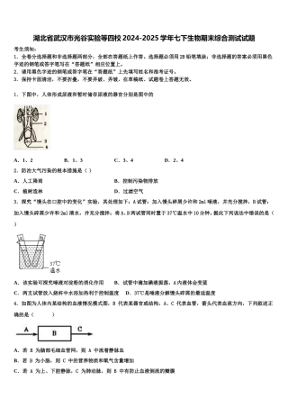 湖北省武汉市光谷实验等四校2024-2025学年七下生物期末综合测试试题含解析