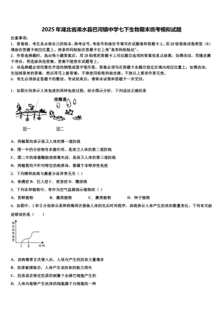 2025年湖北省浠水县巴河镇中学七下生物期末统考模拟试题含解析