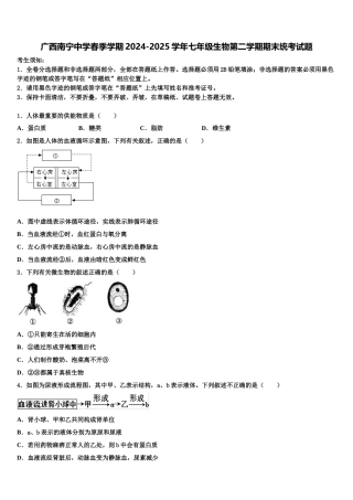 广西南宁中学春季学期2024-2025学年七年级生物第二学期期末统考试题含解析