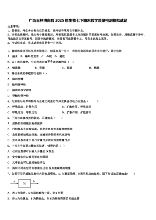 广西玉林博白县2025届生物七下期末教学质量检测模拟试题含解析