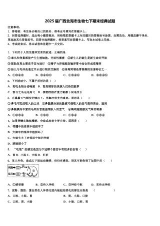 2025届广西北海市生物七下期末经典试题含解析