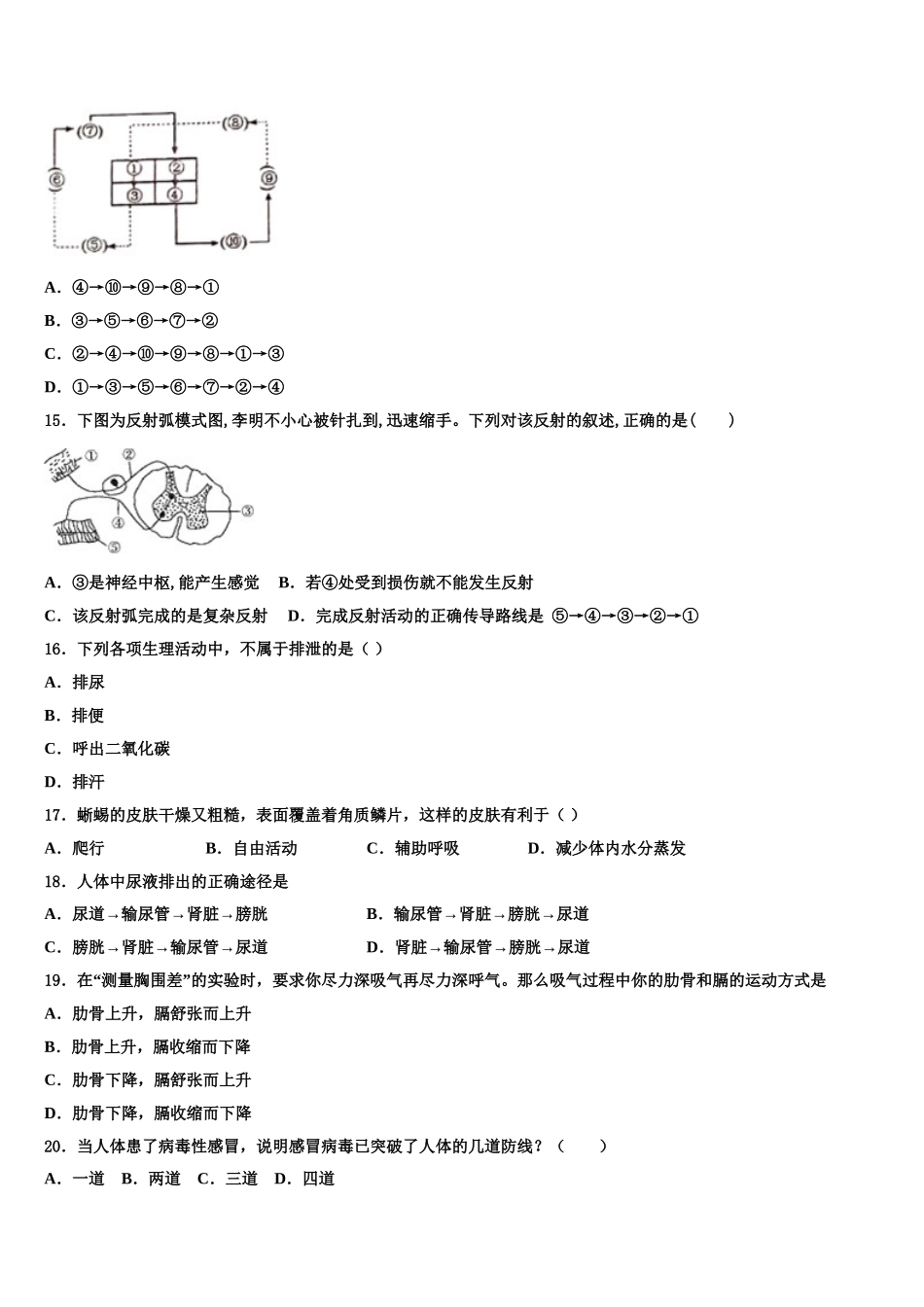 广西陆川县2025年生物七年级第二学期期末学业质量监测试题含解析_第3页