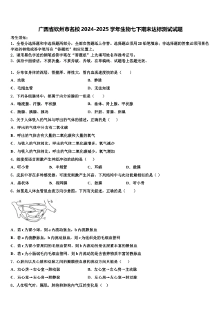 广西省钦州市名校2024-2025学年生物七下期末达标测试试题含解析