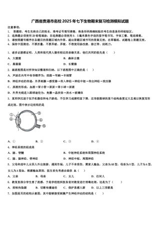 广西省贵港市名校2025年七下生物期末复习检测模拟试题含解析