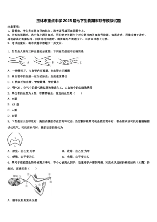 玉林市重点中学2025届七下生物期末联考模拟试题含解析