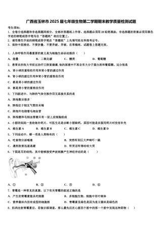 广西省玉林市2025届七年级生物第二学期期末教学质量检测试题含解析