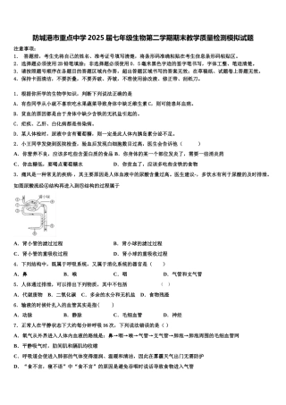 防城港市重点中学2025届七年级生物第二学期期末教学质量检测模拟试题含解析