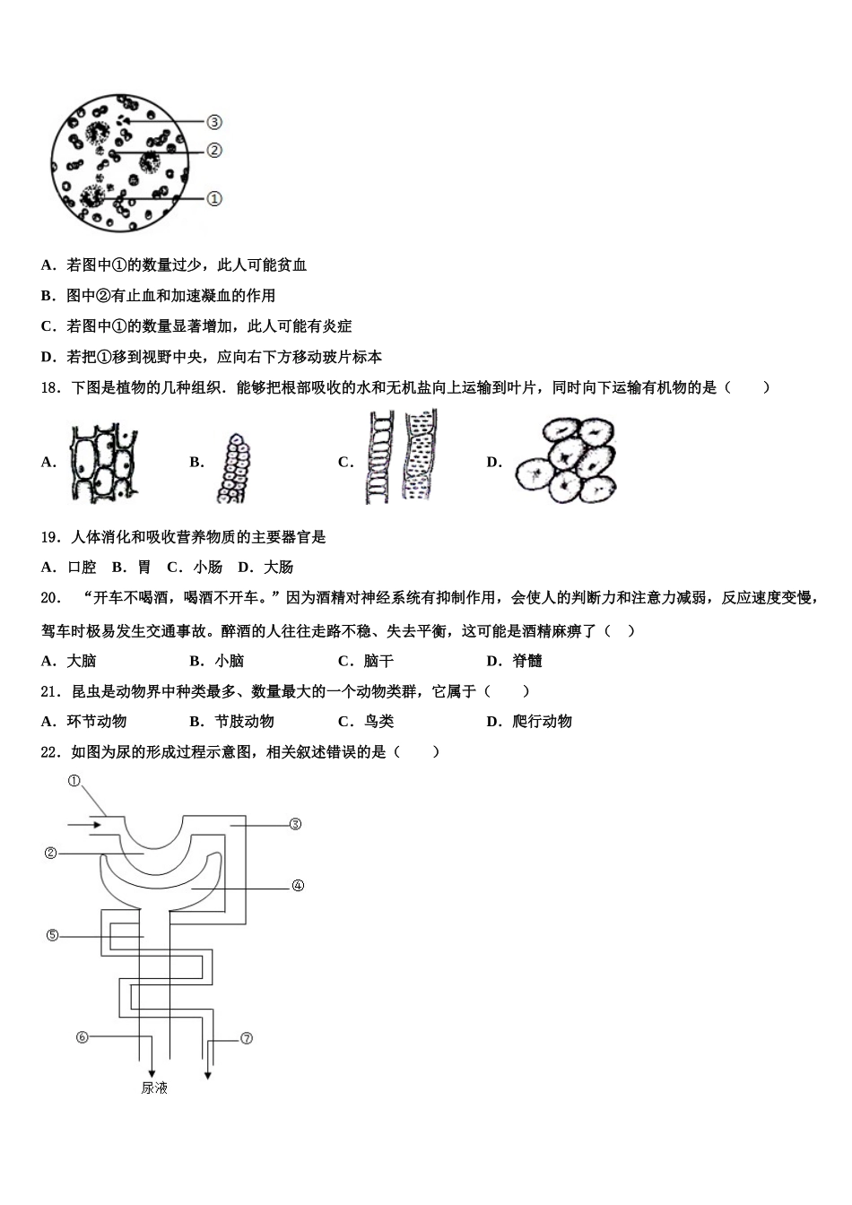 2025年广西钦州市钦南区犀牛角中学七年级生物第二学期期末学业水平测试试题含解析_第3页