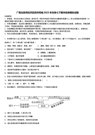 广西北部湾经济区四市同城2025年生物七下期末检测模拟试题含解析