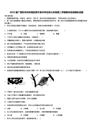 2025届广西钦州市钦南区犀牛角中学生物七年级第二学期期末检测模拟试题含解析