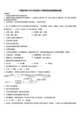 广西钦州市2025年生物七下期末综合测试模拟试题含解析