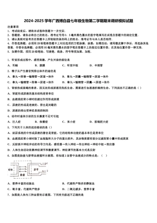 2024-2025学年广西博白县七年级生物第二学期期末调研模拟试题含解析