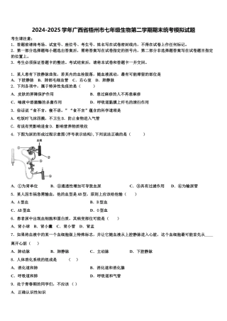2024-2025学年广西省梧州市七年级生物第二学期期末统考模拟试题含解析