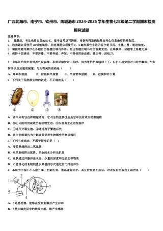 广西北海市、南宁市、钦州市、防城港市2024-2025学年生物七年级第二学期期末检测模拟试题含解析