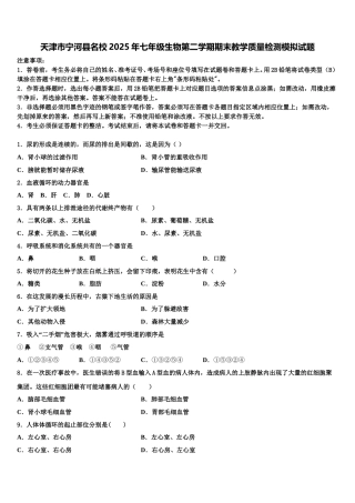 天津市宁河县名校2025年七年级生物第二学期期末教学质量检测模拟试题含解析