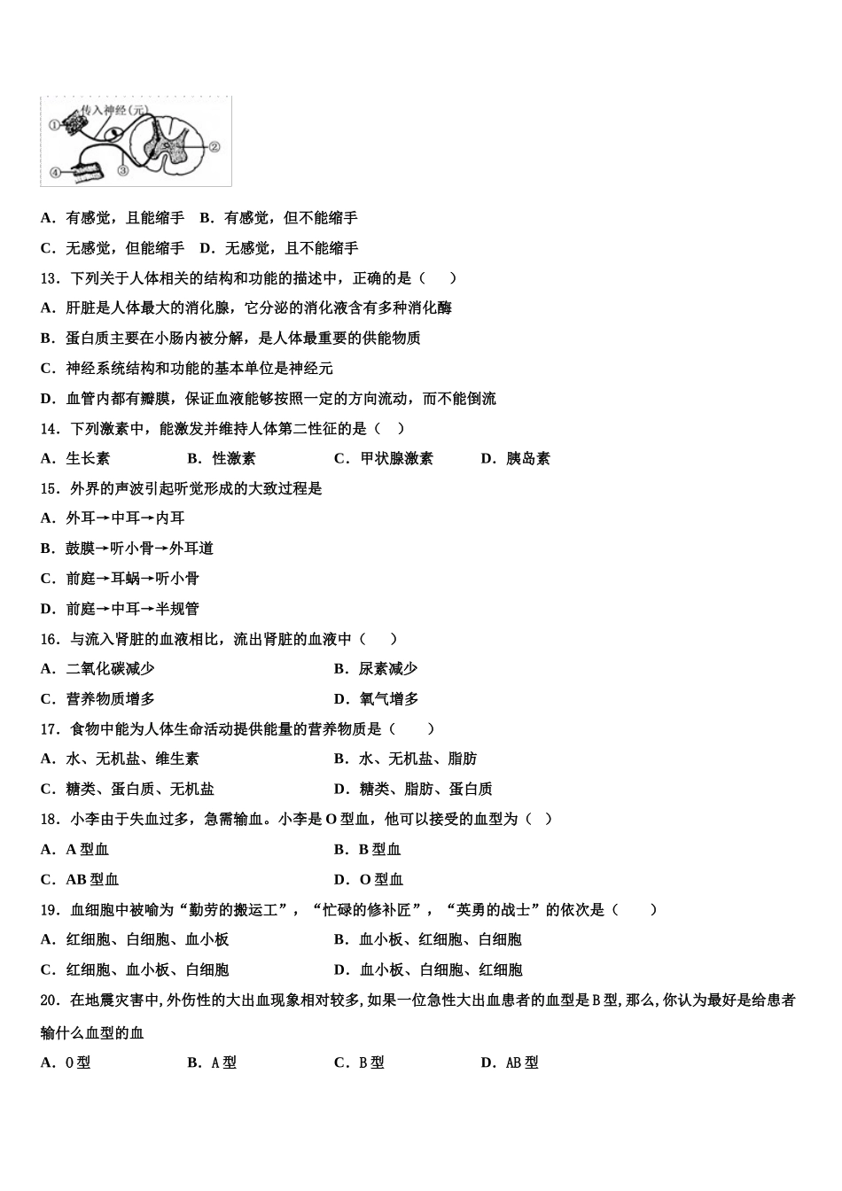 天津市南开区翔宇学校2024-2025学年生物七下期末学业水平测试模拟试题含解析_第3页