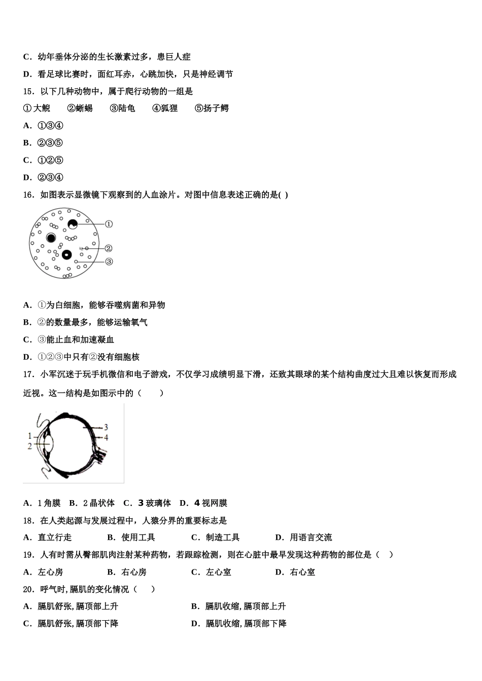 天津市宝坻区第二中学2024-2025学年生物七下期末检测模拟试题含解析_第3页
