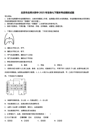 北京市北师大附中2025年生物七下期末考试模拟试题含解析