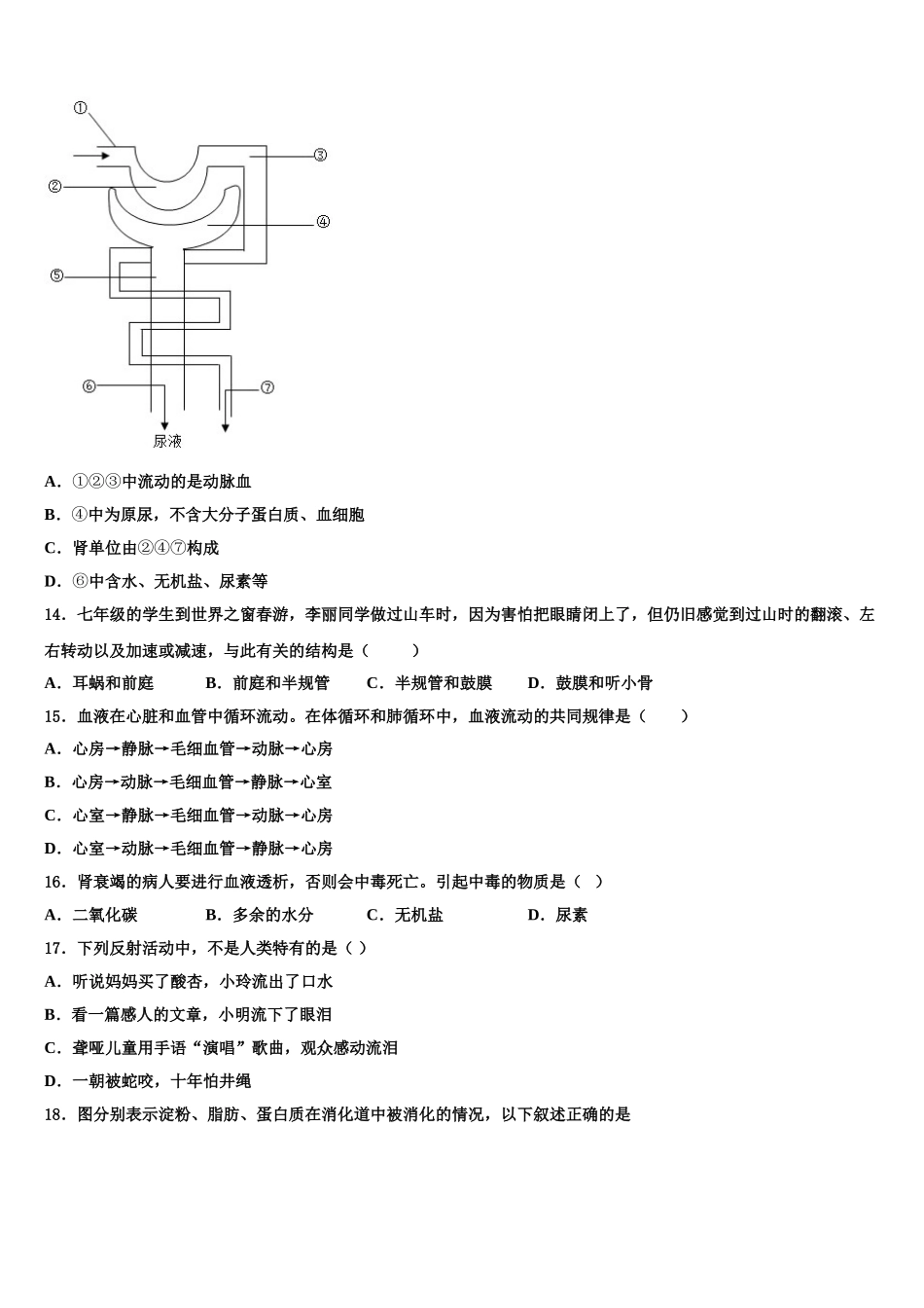 2024-2025学年北京市海淀区中学国人民大附属中学七下生物期末学业水平测试试题含解析_第3页