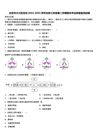 北京市大兴区名校2024-2025学年生物七年级第二学期期末学业质量监测试题含解析