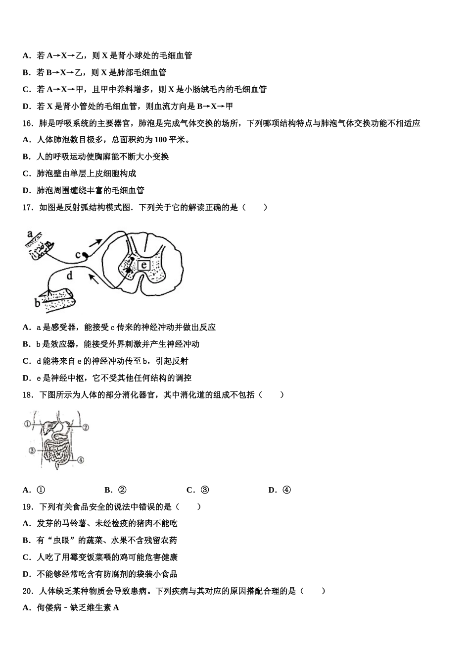 2025年北京顺义七年级生物第二学期期末教学质量检测模拟试题含解析_第3页