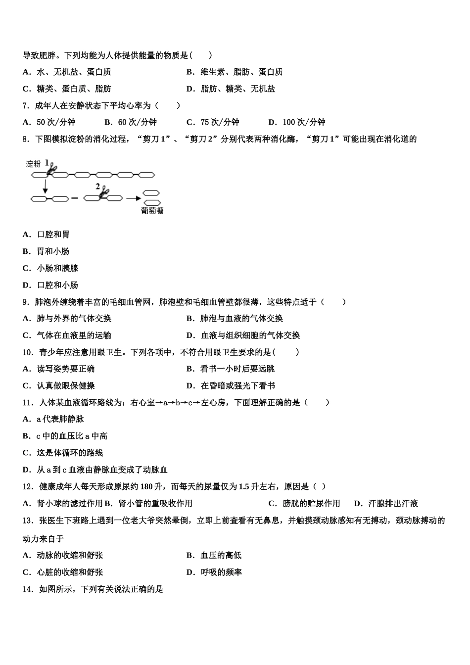 2024-2025学年北京二中学教育集团七年级生物第二学期期末学业质量监测模拟试题含解析_第2页