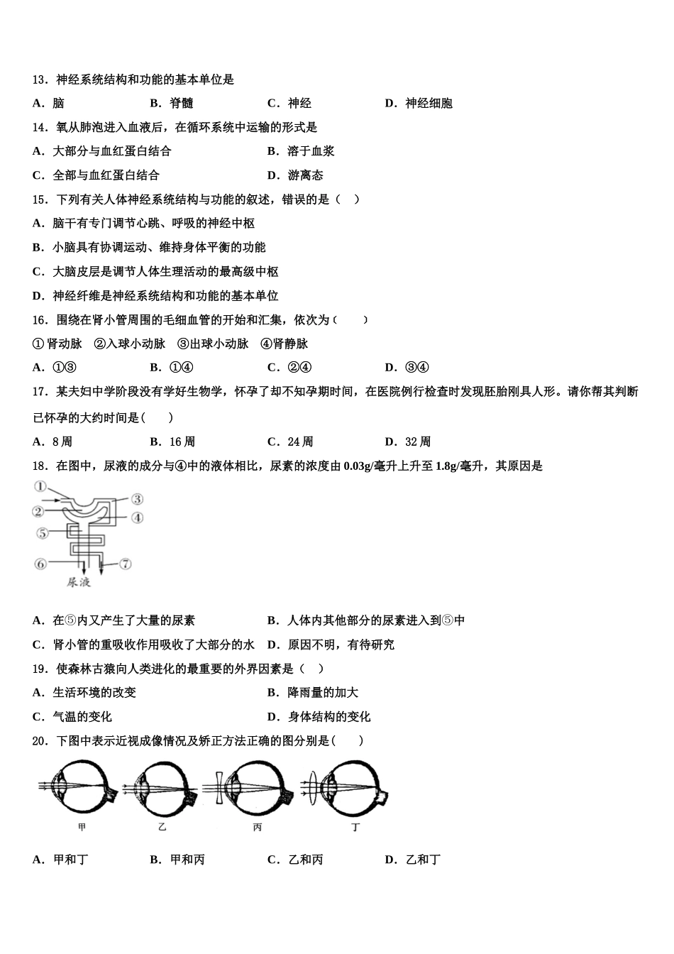 北京师范大学附属中学2025届七下生物期末学业水平测试试题含解析_第3页