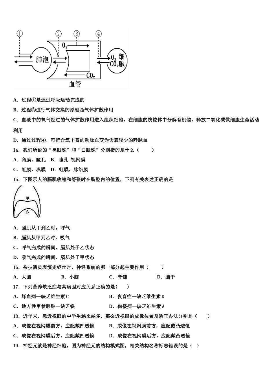 2025届北京市海淀区中学关村中学生物七下期末学业水平测试试题含解析_第3页