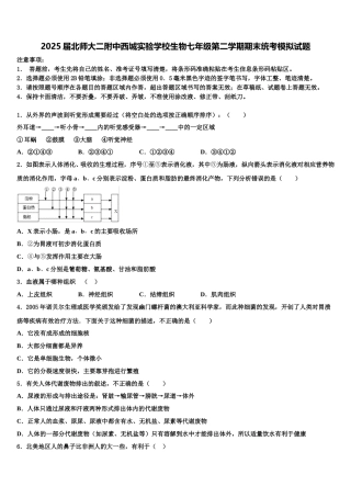 2025届北师大二附中西城实验学校生物七年级第二学期期末统考模拟试题含解析