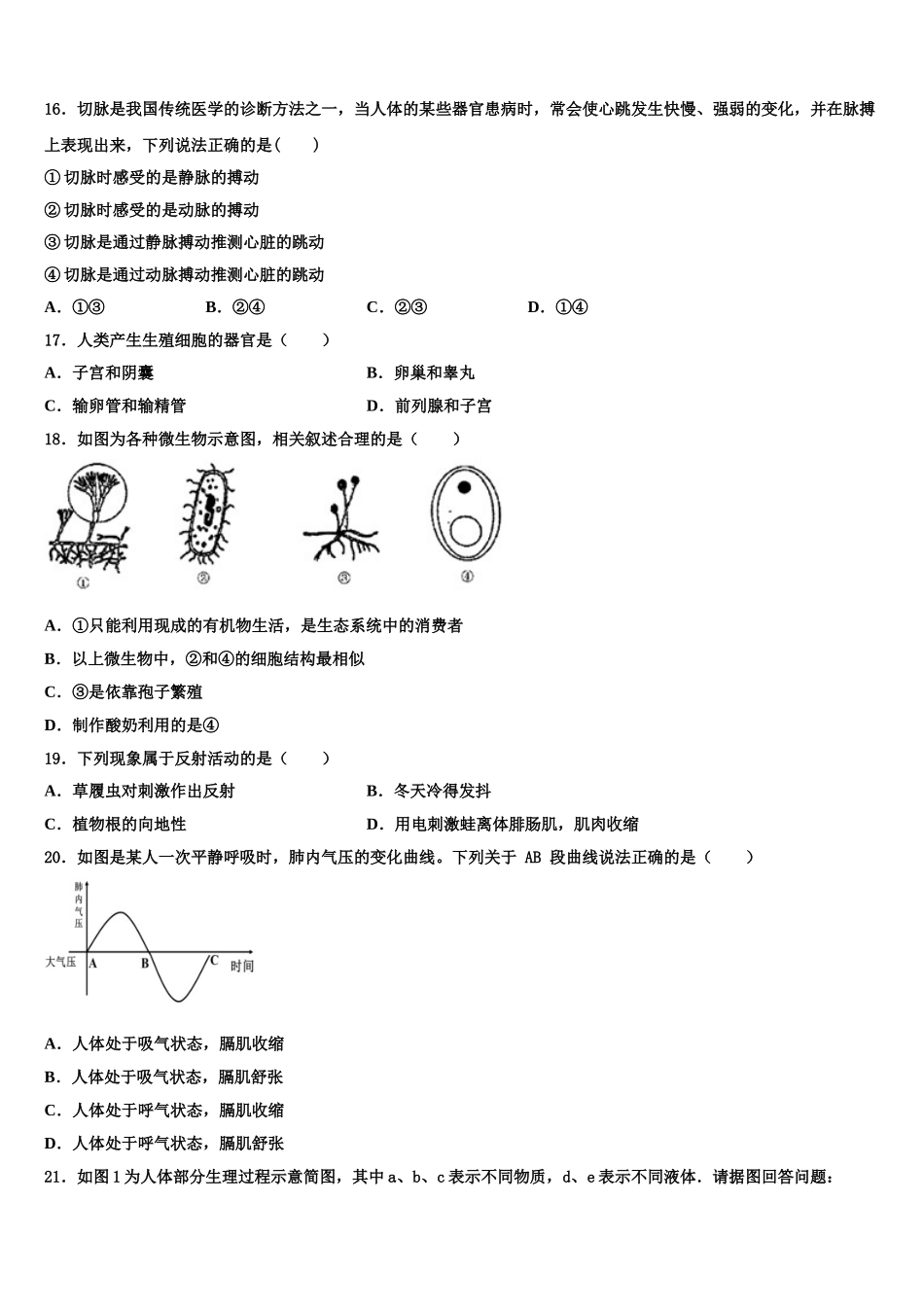 北京市海淀区师达中学2025届七下生物期末质量跟踪监视试题含解析_第3页