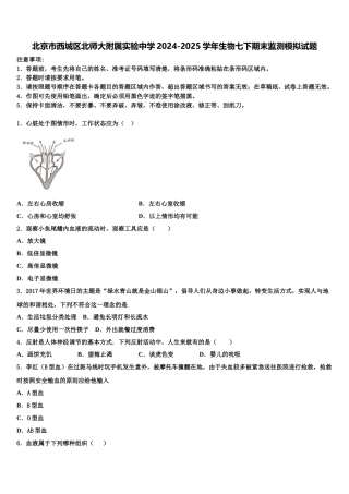 北京市西城区北师大附属实验中学2024-2025学年生物七下期末监测模拟试题含解析