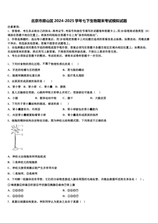 北京市房山区2024-2025学年七下生物期末考试模拟试题含解析