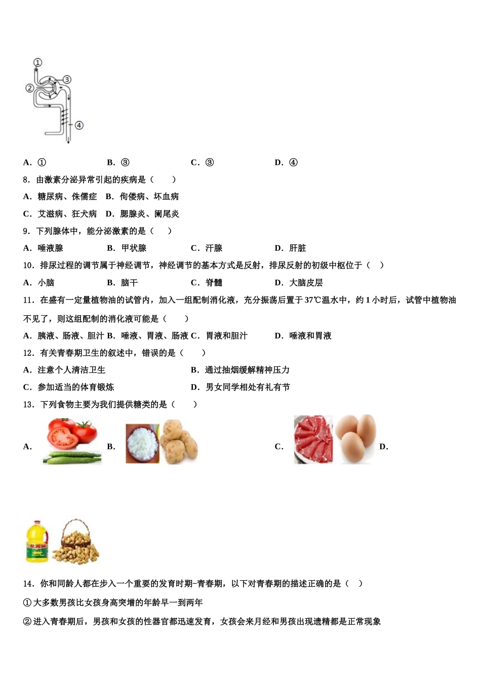 北京三帆中学2024-2025学年生物七年级第二学期期末学业质量监测模拟试题含解析_第2页
