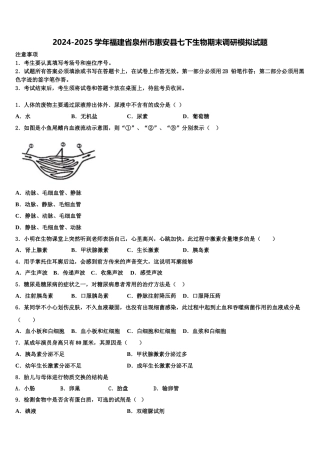 2024-2025学年福建省泉州市惠安县七下生物期末调研模拟试题含解析