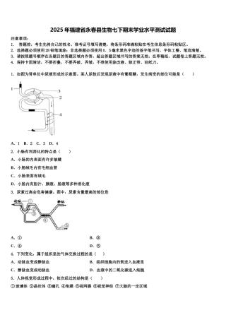 2025年福建省永春县生物七下期末学业水平测试试题含解析